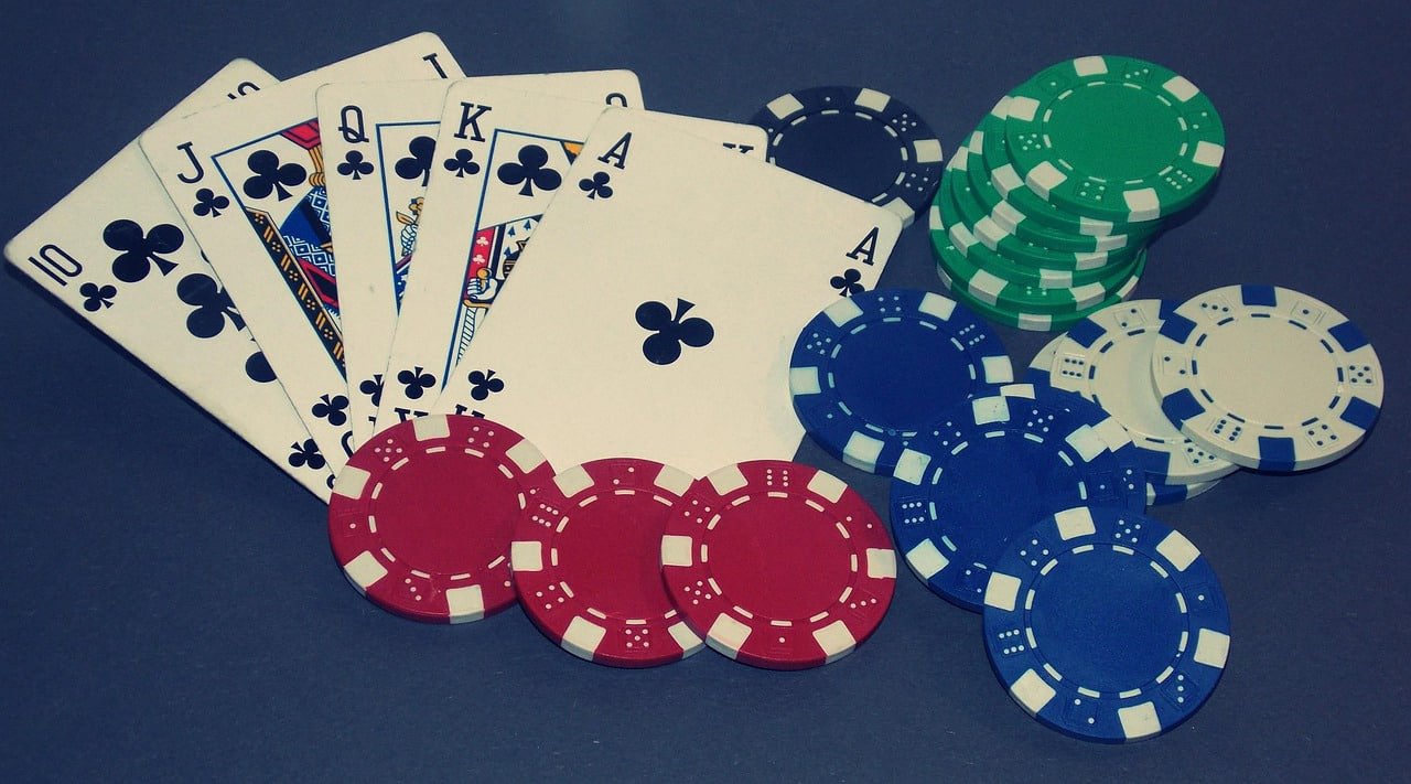 nova bets